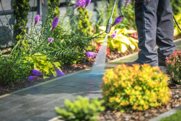 Trusted Hauser, ID  Pressure Washing Services Experts